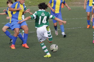 od体育官方登录入口-国安客场赢下富力,全队表现出色信心满满,国安足球队比赛日程